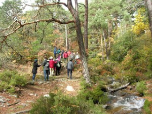 rutas con niños por la sierra