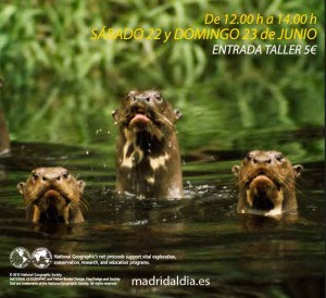 Taller para niños con animales