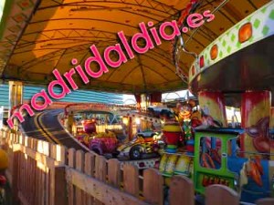 cortylandia 2013